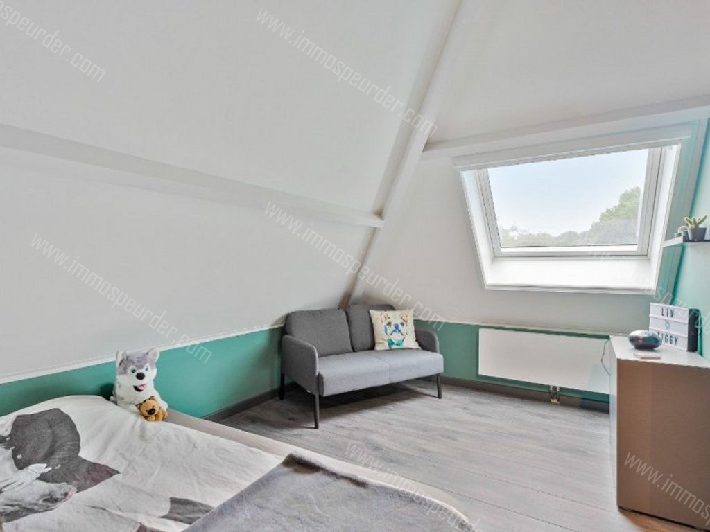 Huis in Herselt - 687730 - Goordijk 46, 2230 Herselt