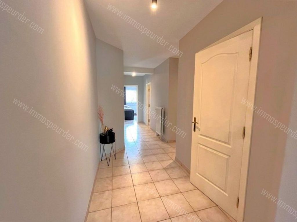 Appartement in Tisselt - 567025 - Blaasveldstraat 6-201, 2830 Tisselt