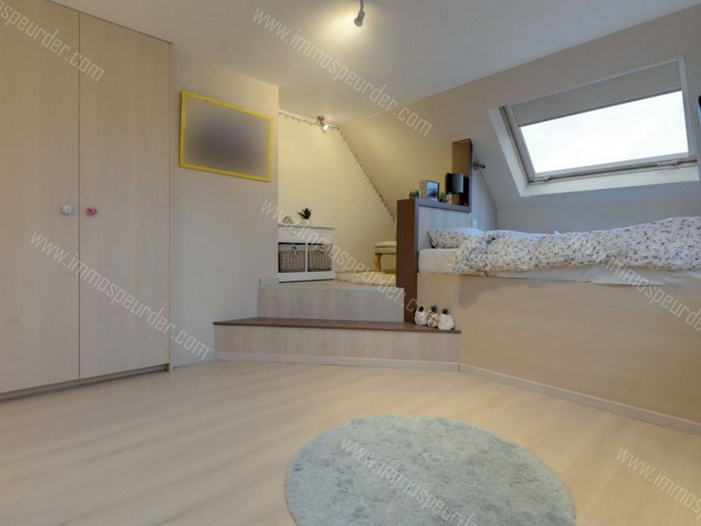 Villa in Dilbeek - 566818 - Lumbeekstraat 59, 1700 Dilbeek