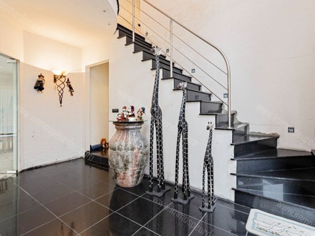 Villa in Dilbeek - 586600 - Lumbeekstraat 61, 1700 Dilbeek