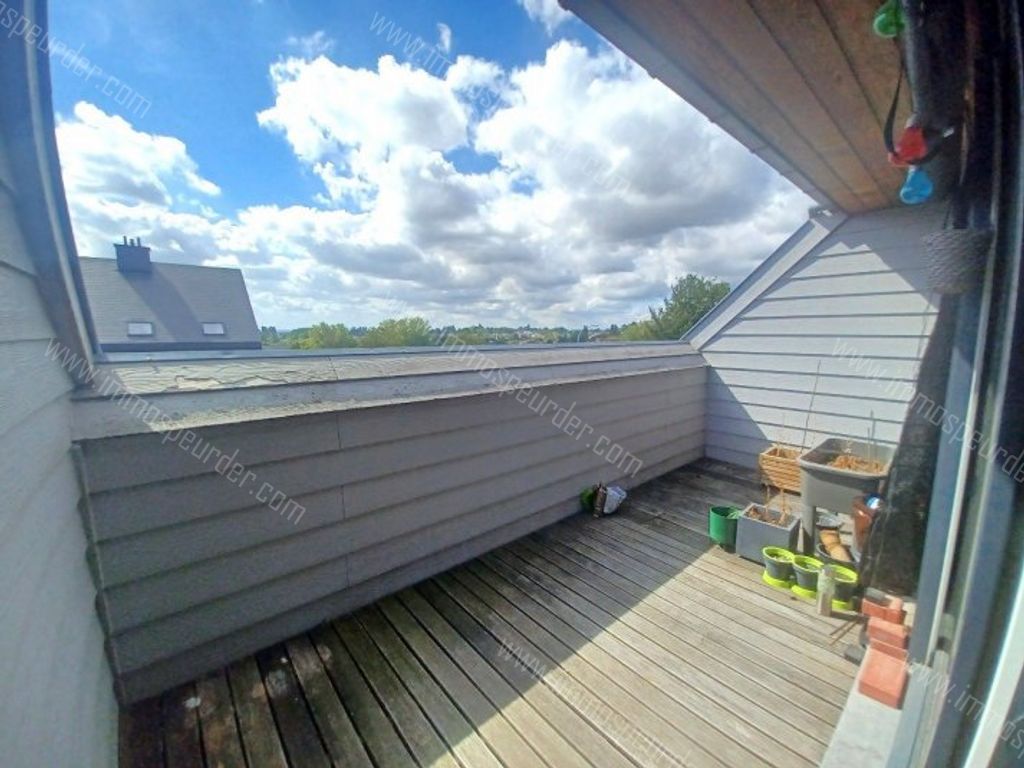 Appartement in Dilbeek - 973437 - Ninoofsesteenweg 255-302, 1700 Dilbeek