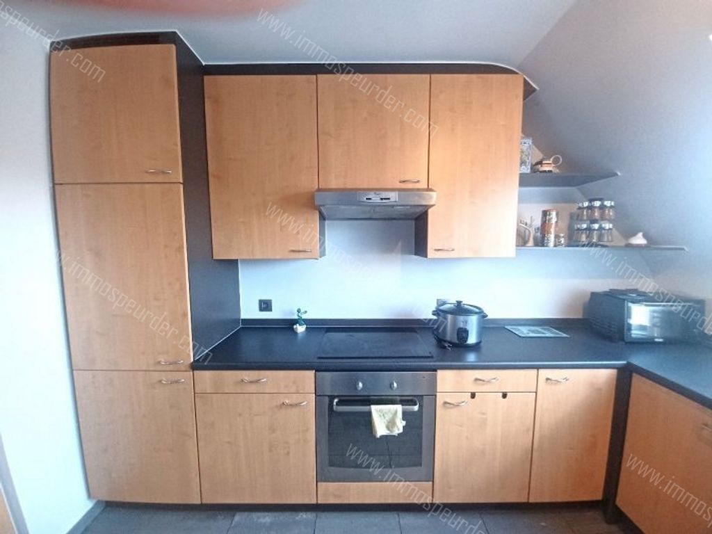 Appartement in Dilbeek - 973437 - Ninoofsesteenweg 255-302, 1700 Dilbeek