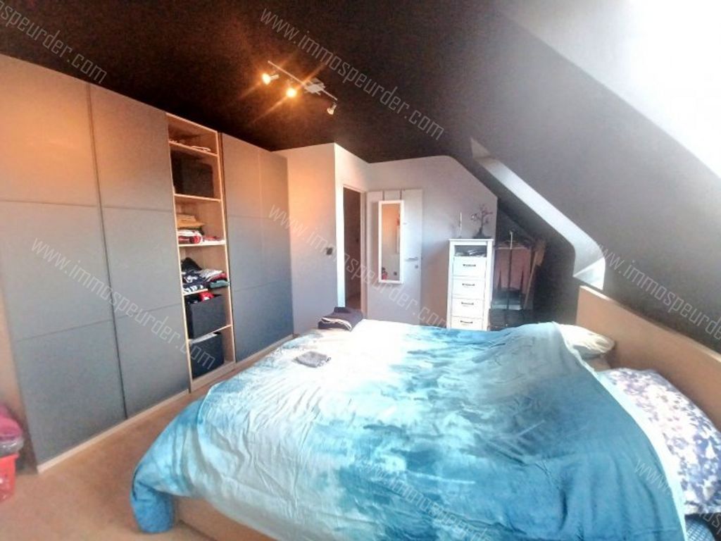 Appartement in Dilbeek - 973437 - Ninoofsesteenweg 255-302, 1700 Dilbeek