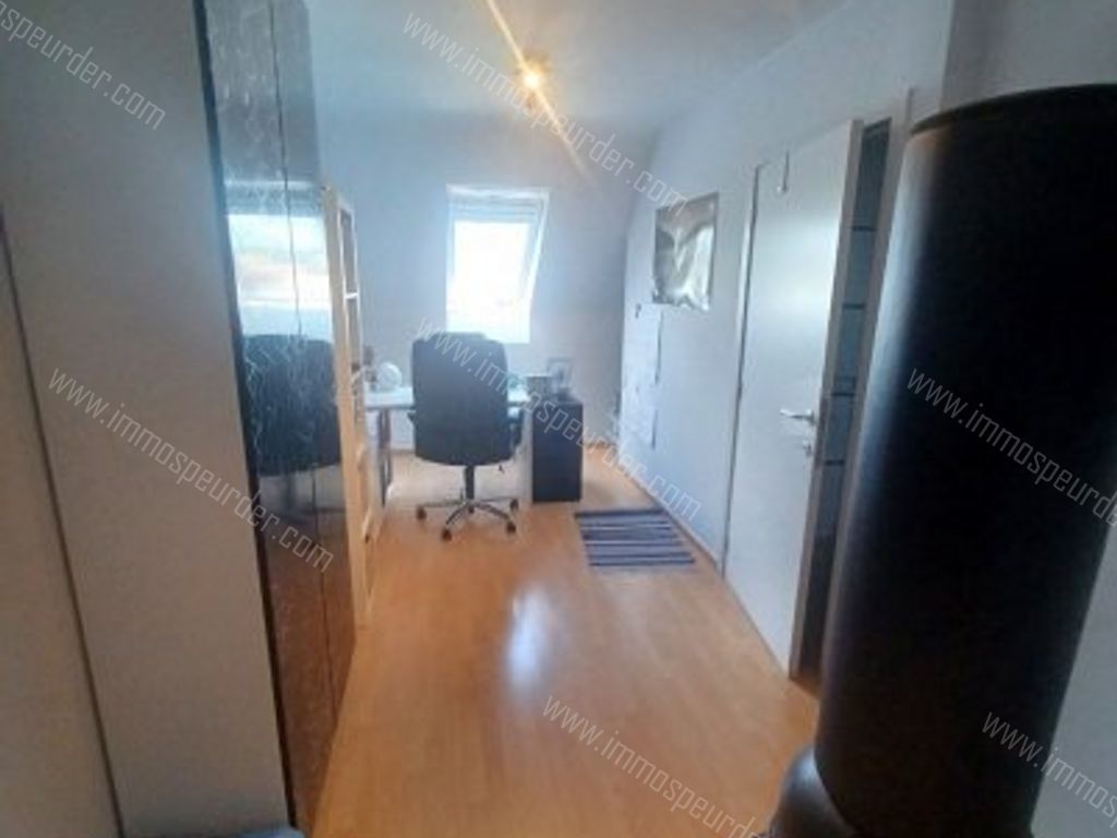 Appartement in Dilbeek - 973437 - Ninoofsesteenweg 255-302, 1700 Dilbeek