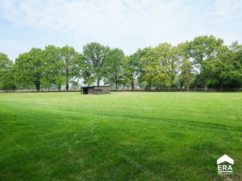 Huis in Herselt - 585860 - Blaubergsesteenweg 44, 2230 Herselt