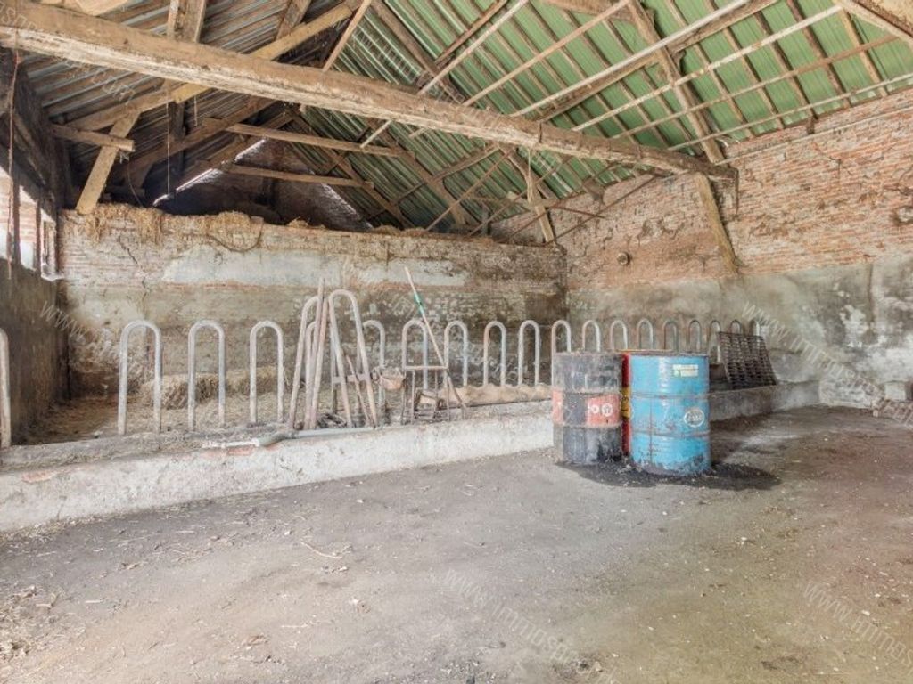 Huis in Herselt - 1014070 - Westerlosesteenweg 80, 2230 Herselt