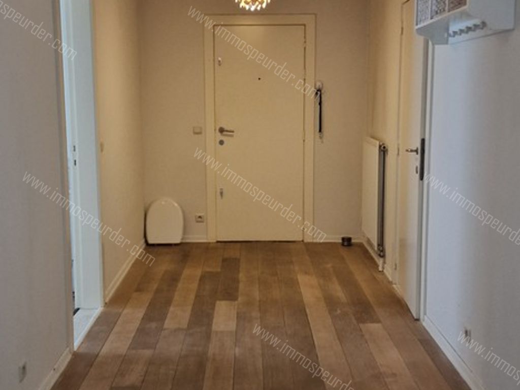 Appartement in Meerle - 947415 - Meerledorp 48-b-2, 2328 Meerle
