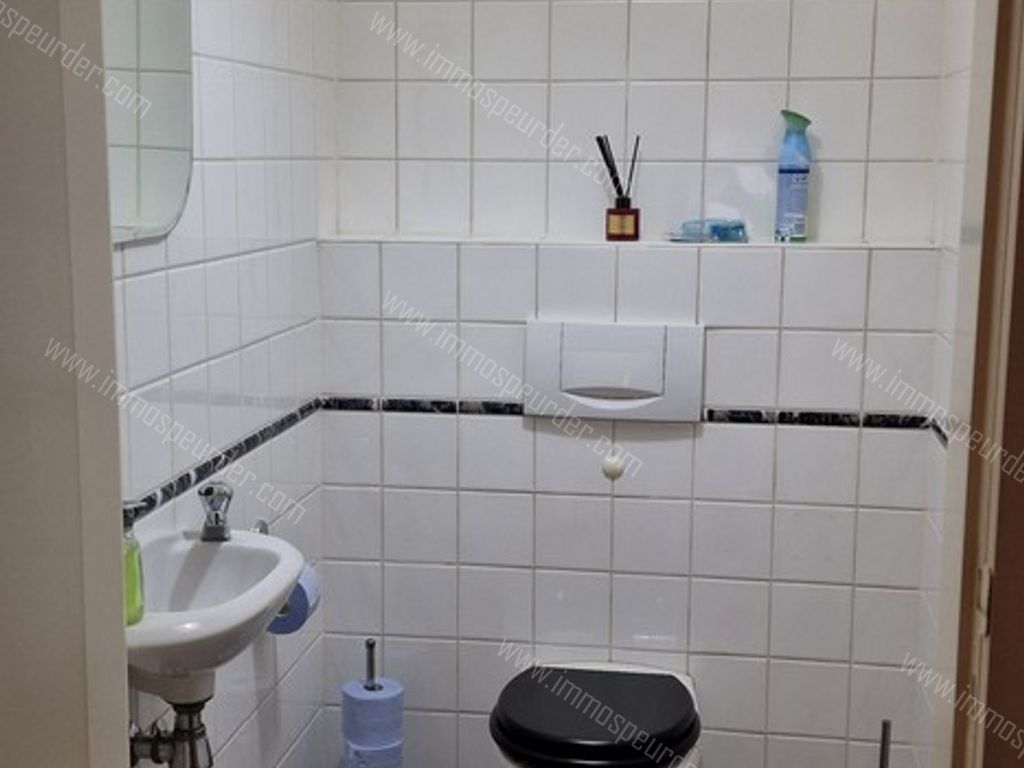 Appartement in Meerle - 947415 - Meerledorp 48-b-2, 2328 Meerle