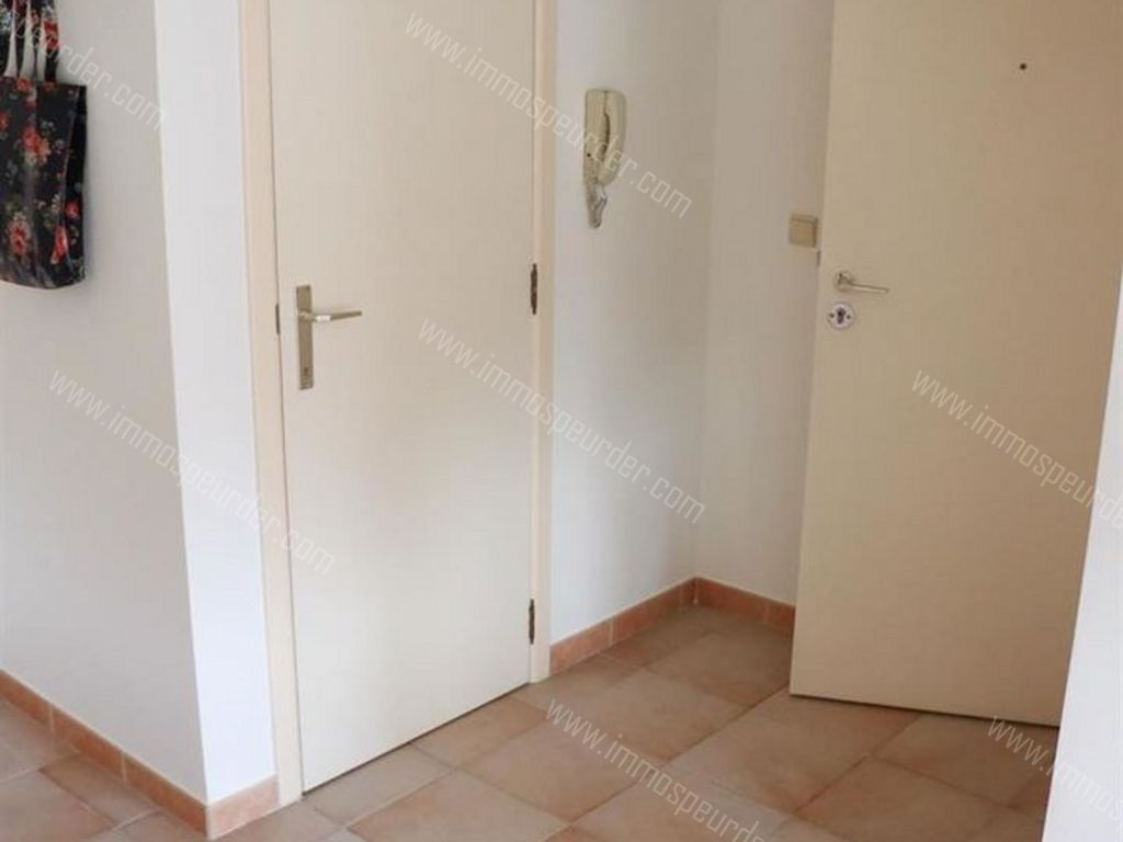 Appartement in Dilbeek - 565509 - Spanjebergstraat 2-02-02, 1700 Dilbeek