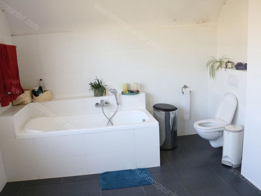 Villa in Dilbeek - 567515 - Levoldlaan 8, 1700 Dilbeek