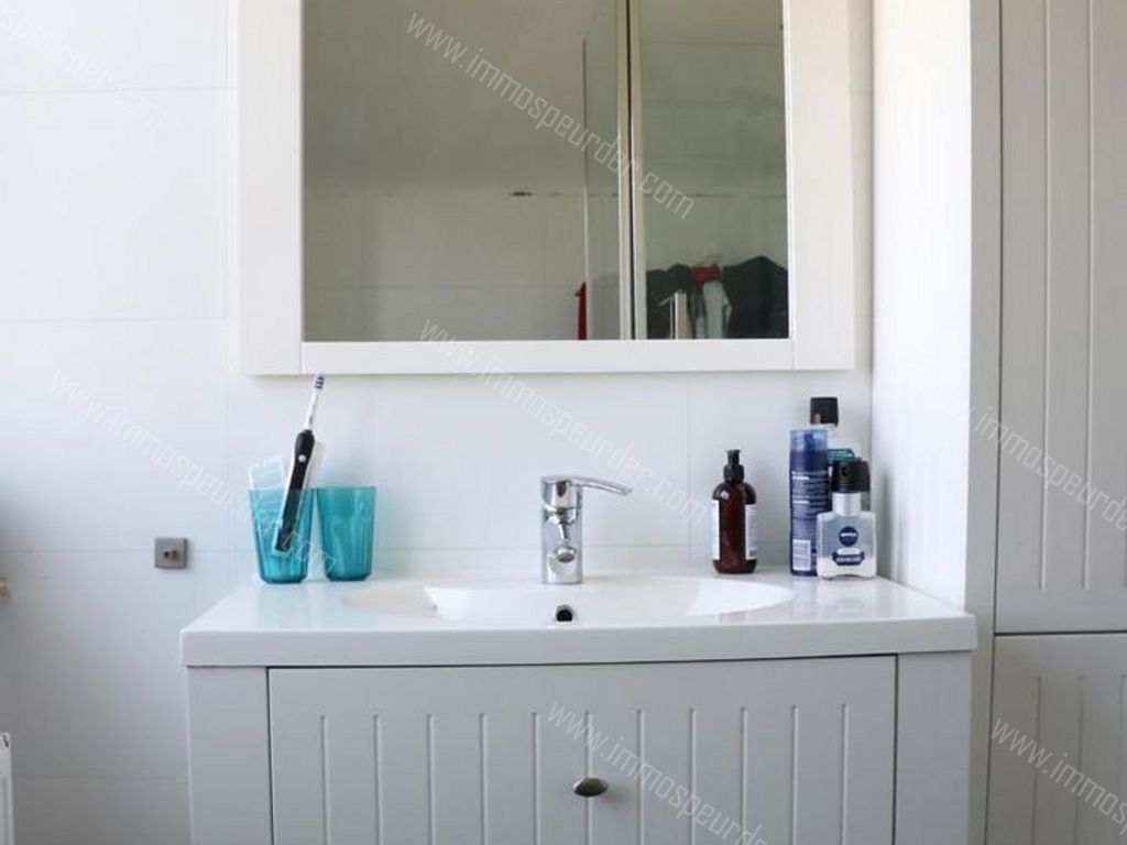 Villa in Dilbeek - 567515 - Levoldlaan 8, 1700 Dilbeek