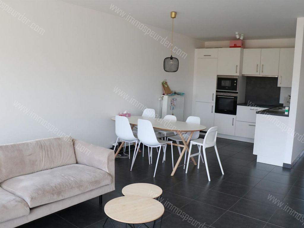 Appartement in Dilbeek - 567528 - Stichelgatstraat 25-00-01, 1700 Dilbeek