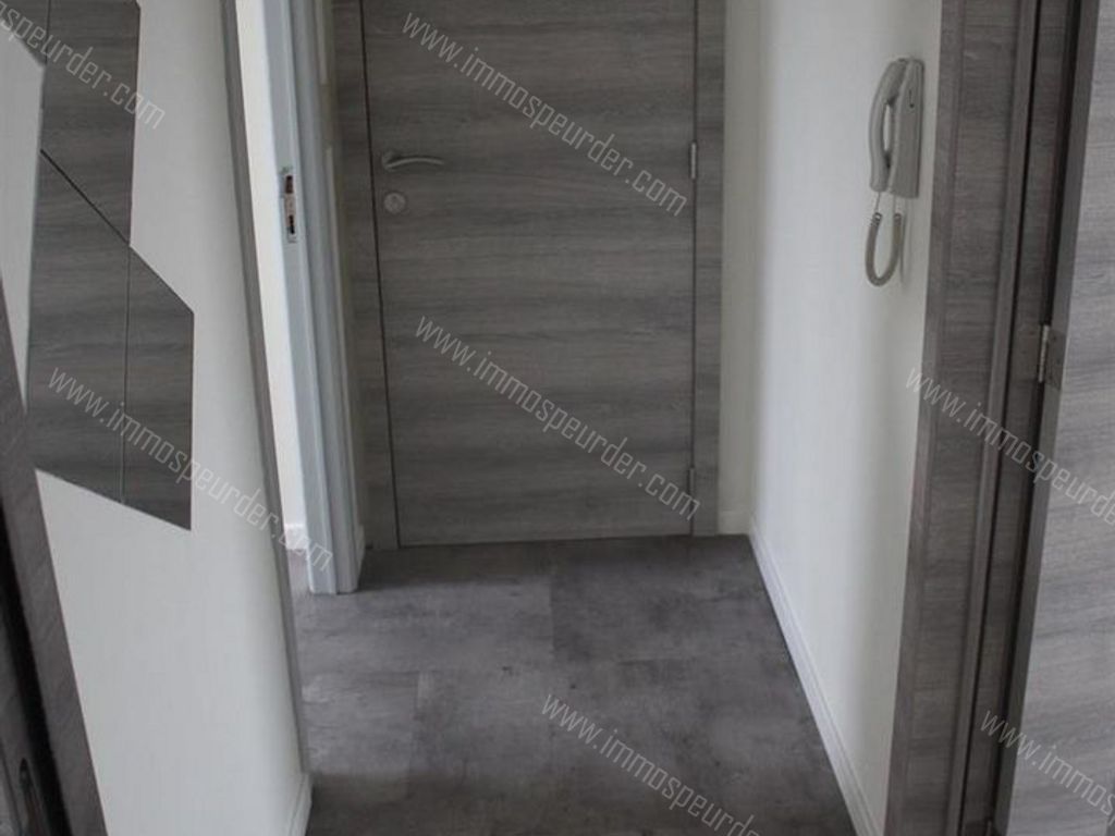 Appartement in Dilbeek - 578886 - Ninoofsesteenweg 143-03-01, 1700 Dilbeek