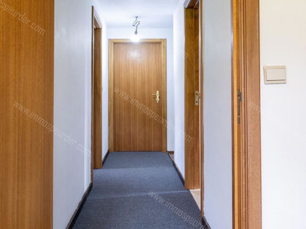 Villa in Dilbeek - 583829 - Sackweg 2A, 1700 Dilbeek