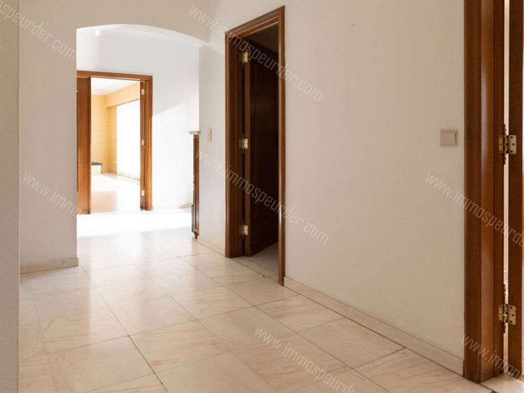 Villa in Dilbeek - 593922 - Eikenlaan 13, 1700 Dilbeek