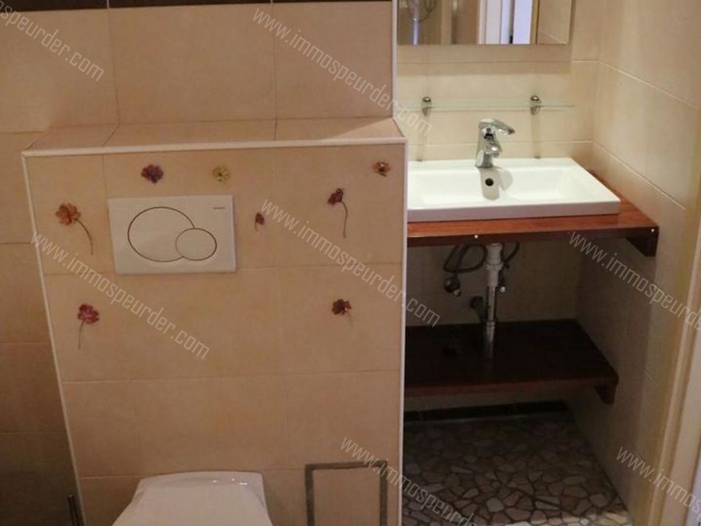 Appartement in Dilbeek - 614470 - Liv. Walravenslaan 39-01-01, 1700 Dilbeek