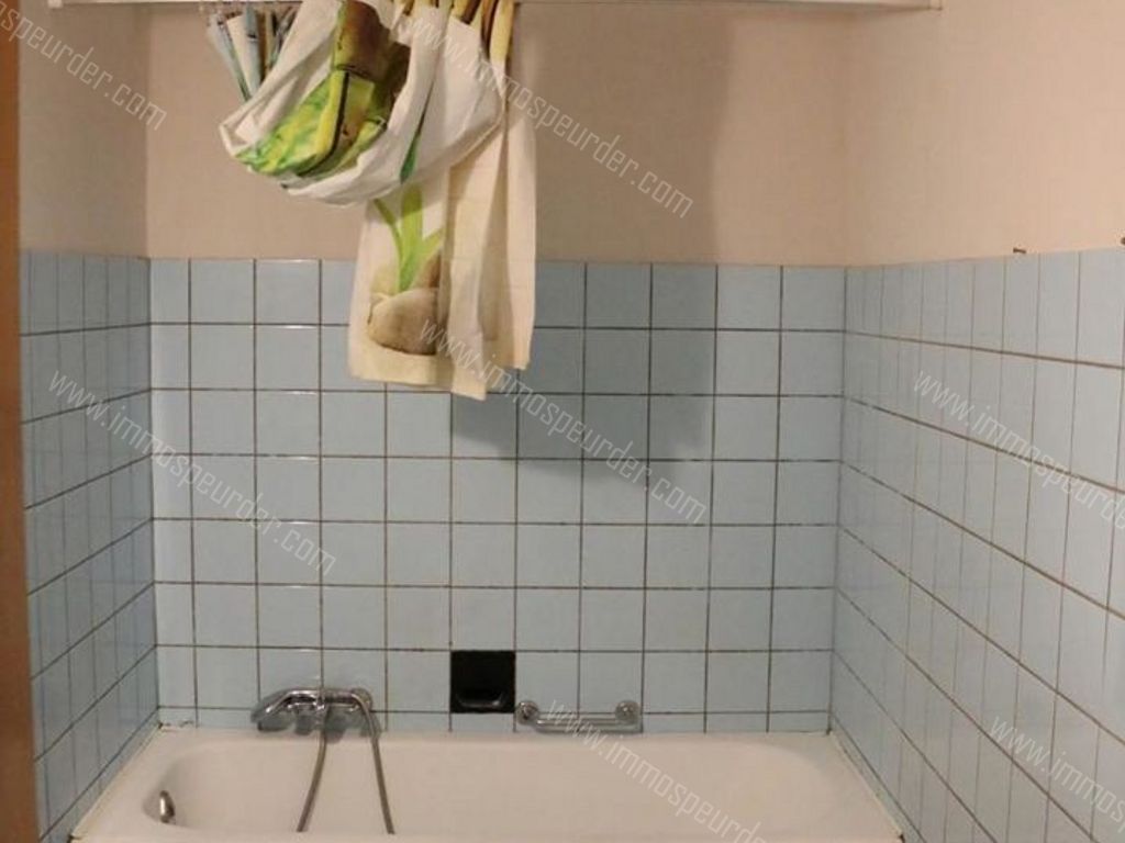 Appartement in Dilbeek - 573863 - Sint-Antoniuslaan 72, 1700 Dilbeek