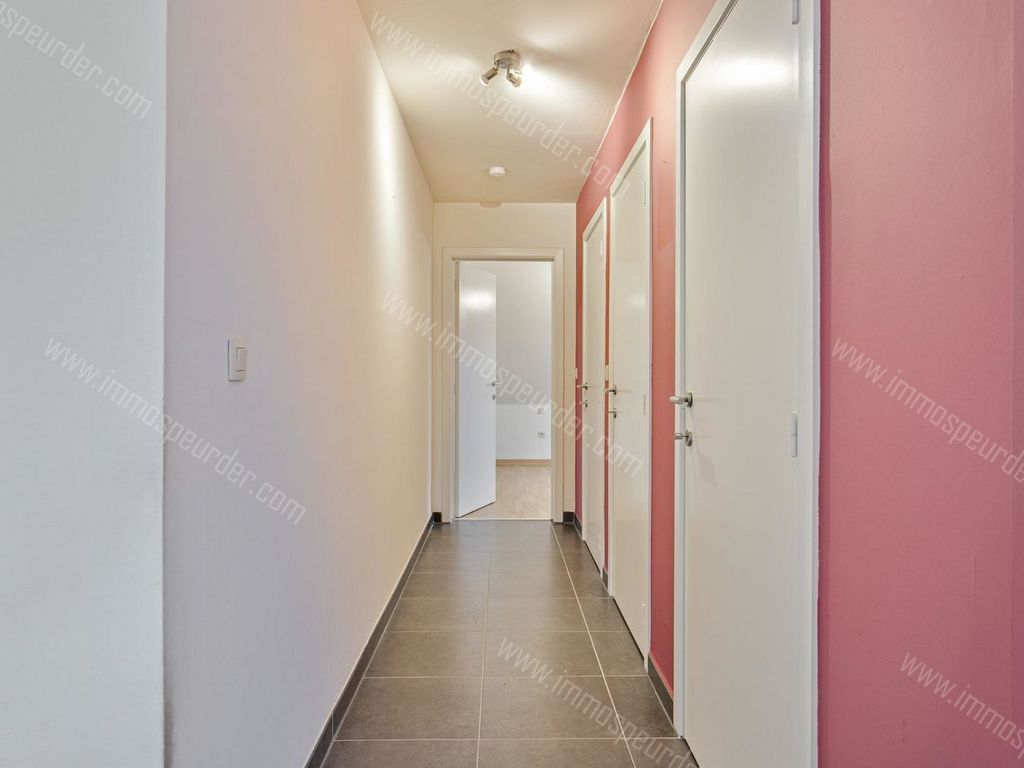 Appartement in Dilbeek - 686831 - Boerkozenstraat 1-02-02, 1700 Dilbeek