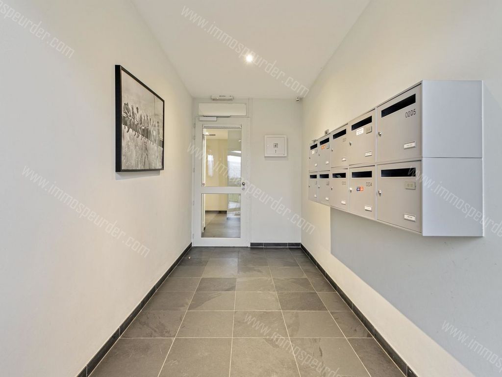 Appartement in Dilbeek - 686831 - Boerkozenstraat 1-02-02, 1700 Dilbeek