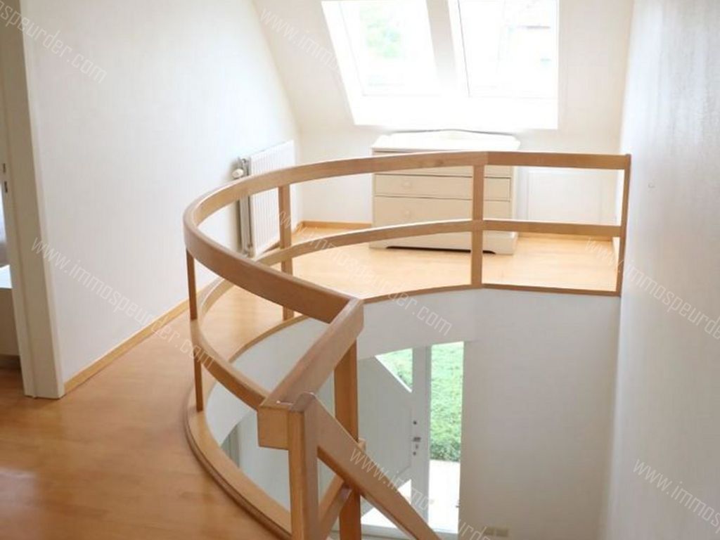 Villa in Dilbeek - 976326 - Nachtvlinder 3, 1700 Dilbeek