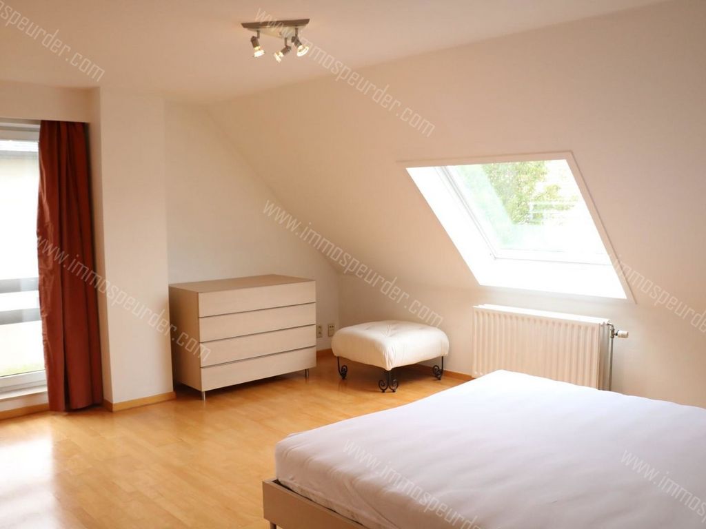 Villa in Dilbeek - 976326 - Nachtvlinder 3, 1700 Dilbeek