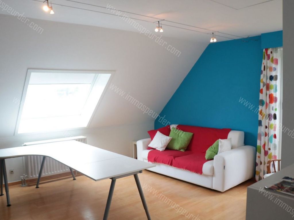 Villa in Dilbeek - 976326 - Nachtvlinder 3, 1700 Dilbeek