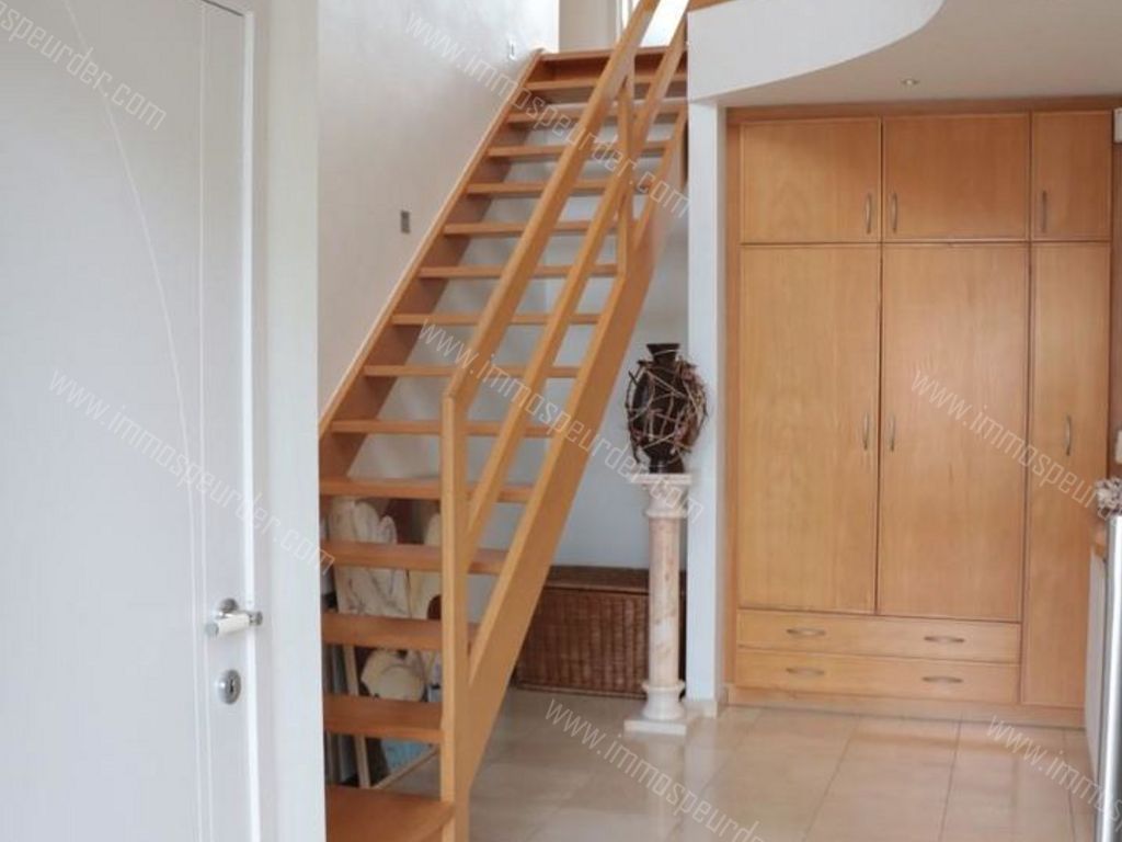 Villa in Dilbeek - 976326 - Nachtvlinder 3, 1700 Dilbeek