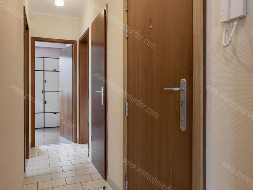 Appartement in Dilbeek - 979184 - Hoogveldlaan 7-02-01, 1700 Dilbeek