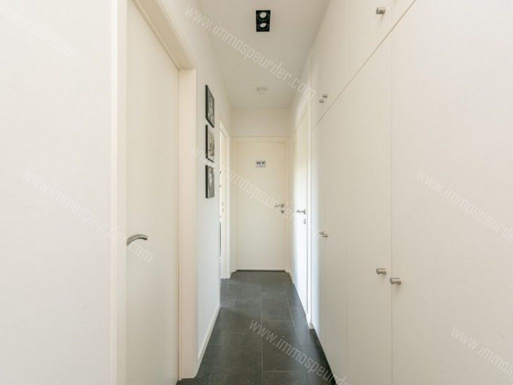 Huis in Zoersel - 993707 - Rodenbachlaan 24, 2980 Zoersel