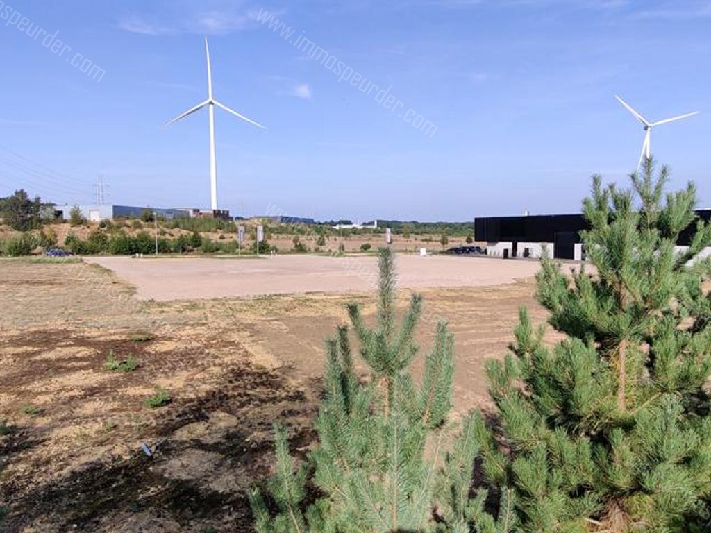 Kantoor in Dilsen-Stokkem - 379754 - Vossenbergstraat , 3650 Dilsen-Stokkem