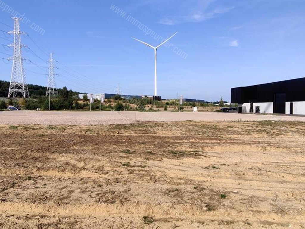 Kantoor in Dilsen-Stokkem - 379754 - Vossenbergstraat , 3650 Dilsen-Stokkem