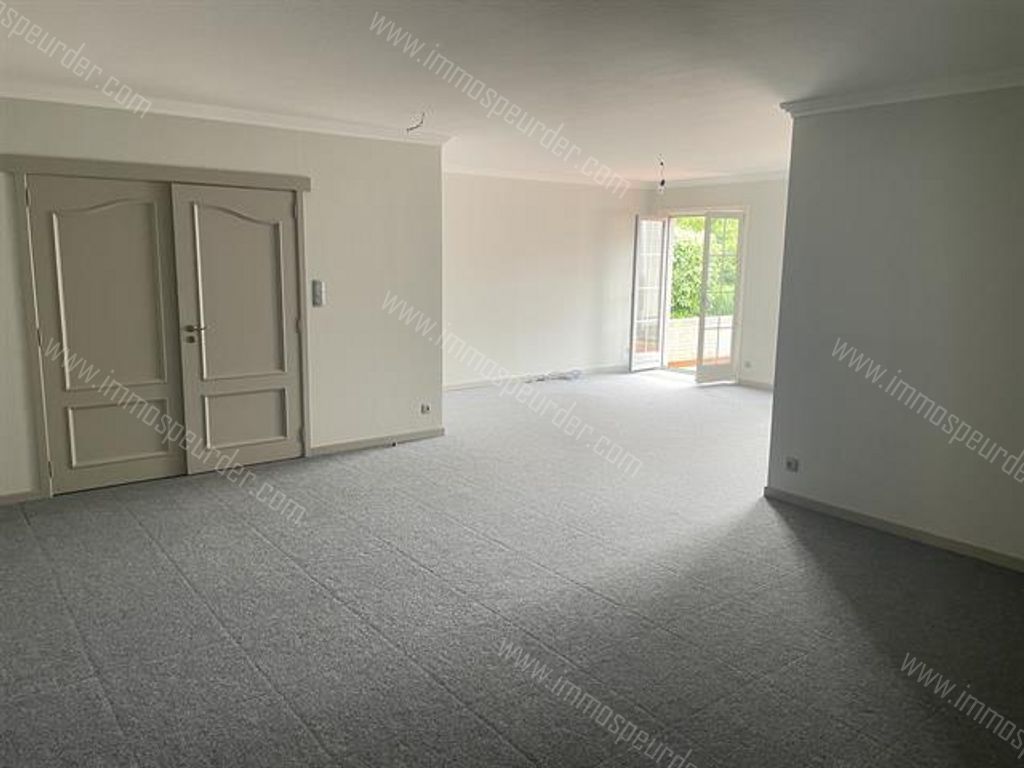 Appartement in Zoersel - 382630 - Rodendijk 40, 2980 Zoersel