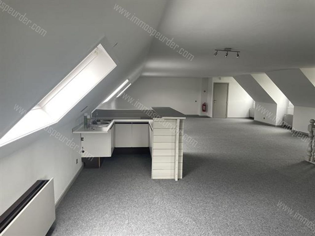 Appartement in Zoersel - 382630 - Rodendijk 40, 2980 Zoersel