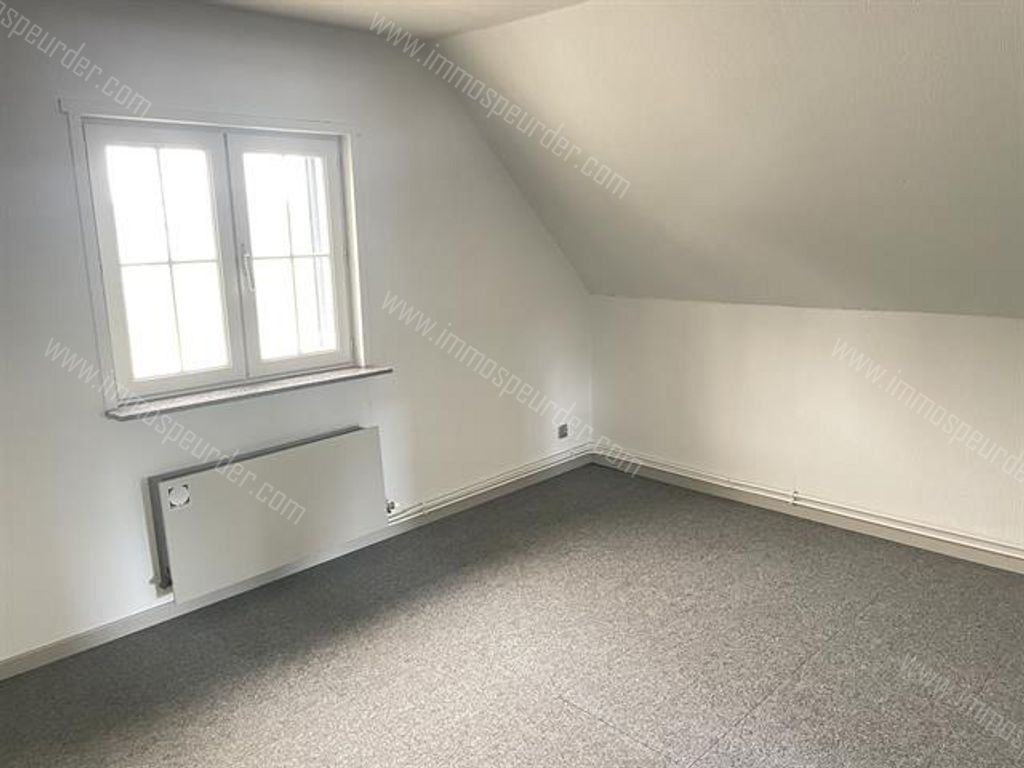 Appartement in Zoersel - 382630 - Rodendijk 40, 2980 Zoersel