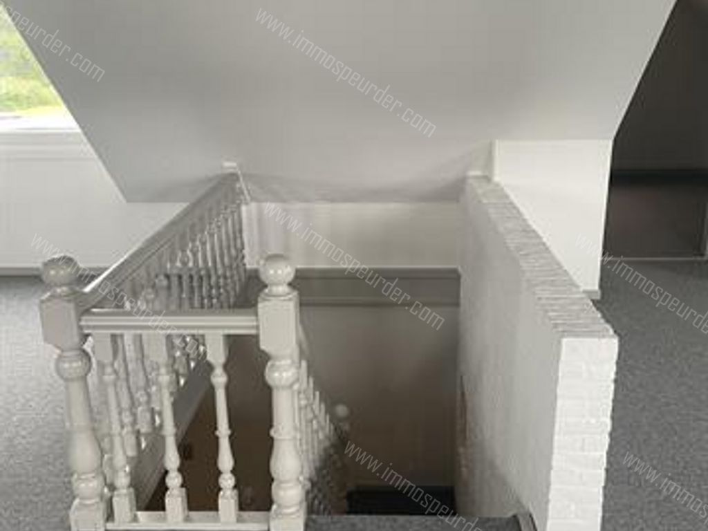 Appartement in Zoersel - 382630 - Rodendijk 40, 2980 Zoersel