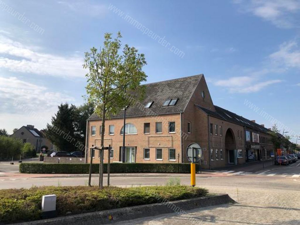 Kantoor in Herselt - 987809 - Dorp 123, 2230 Herselt