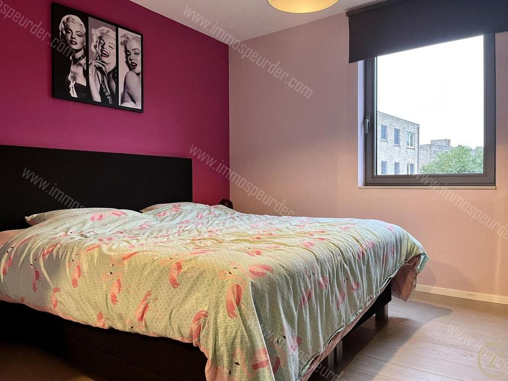 Appartement in Willebroek - 625865 - Dendermondsesteenweg 200-103, 2830 Willebroek