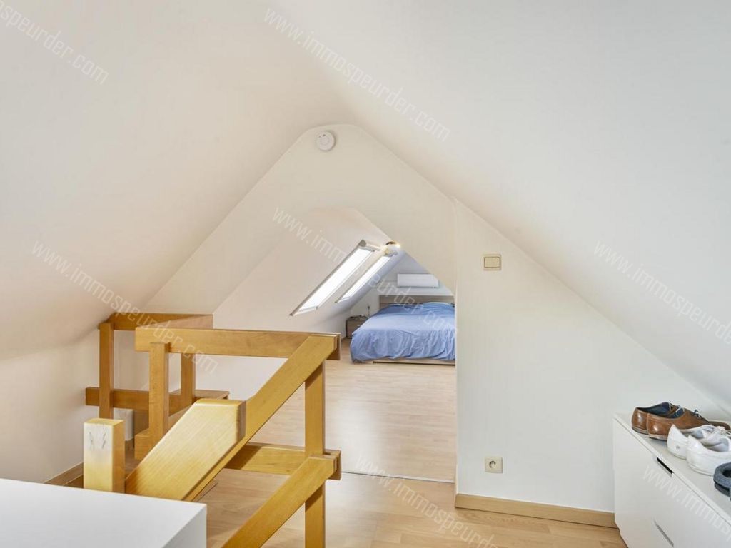 Appartement in Herselt - 498867 - Wolfsdonksesteenweg 35-3, 2230 Herselt