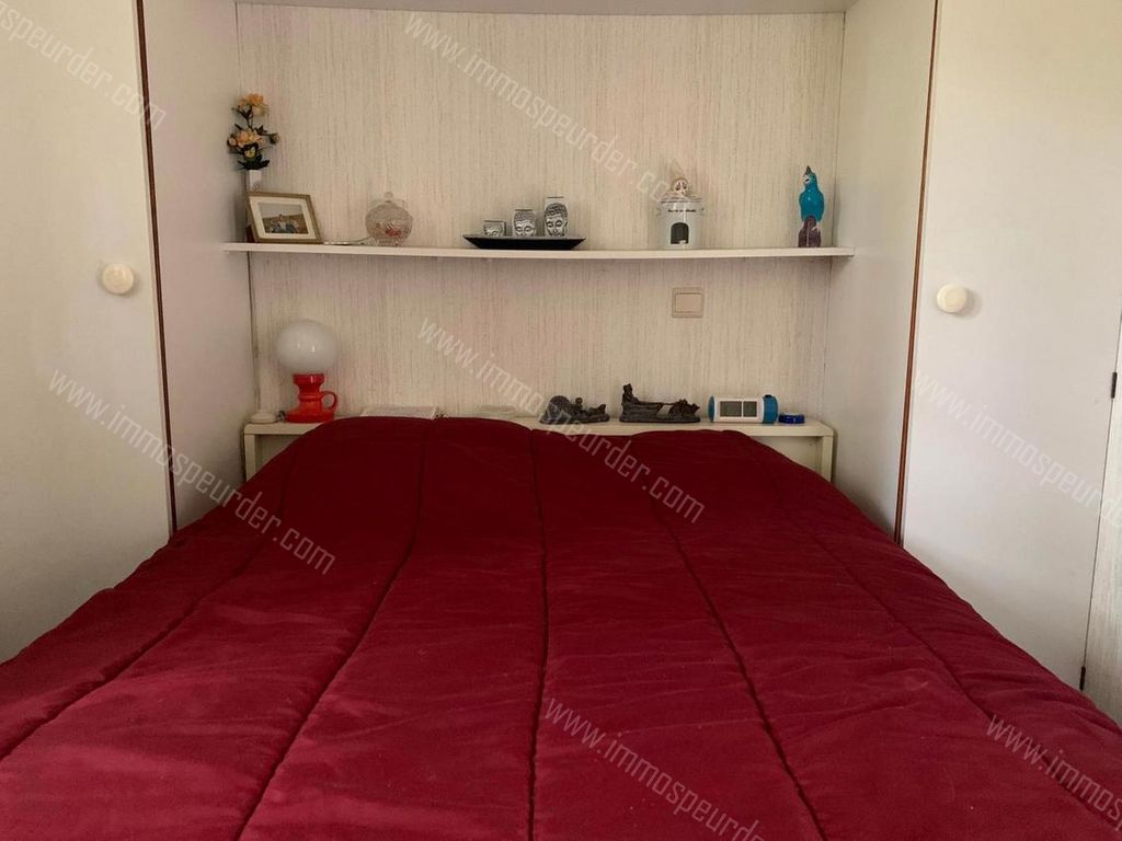 Huis in Herselt - 976653 - Beemdeke 4, 2230 Herselt