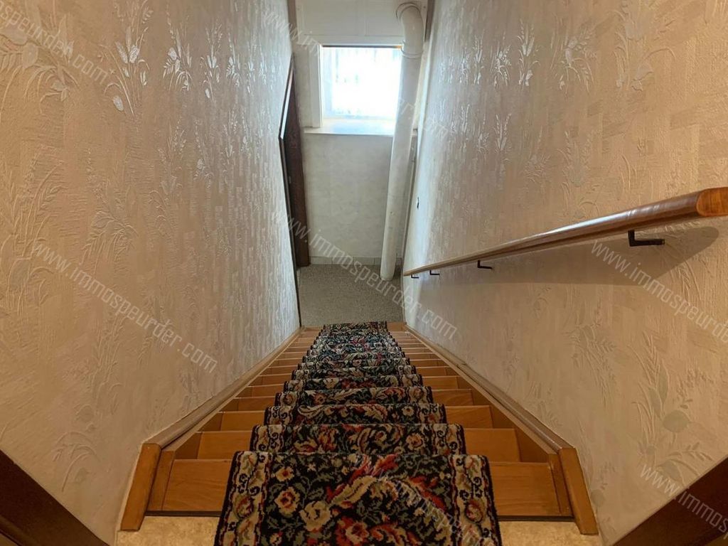 Huis in Herselt - 1020599 - Hamerstraat 3, 2230 Herselt