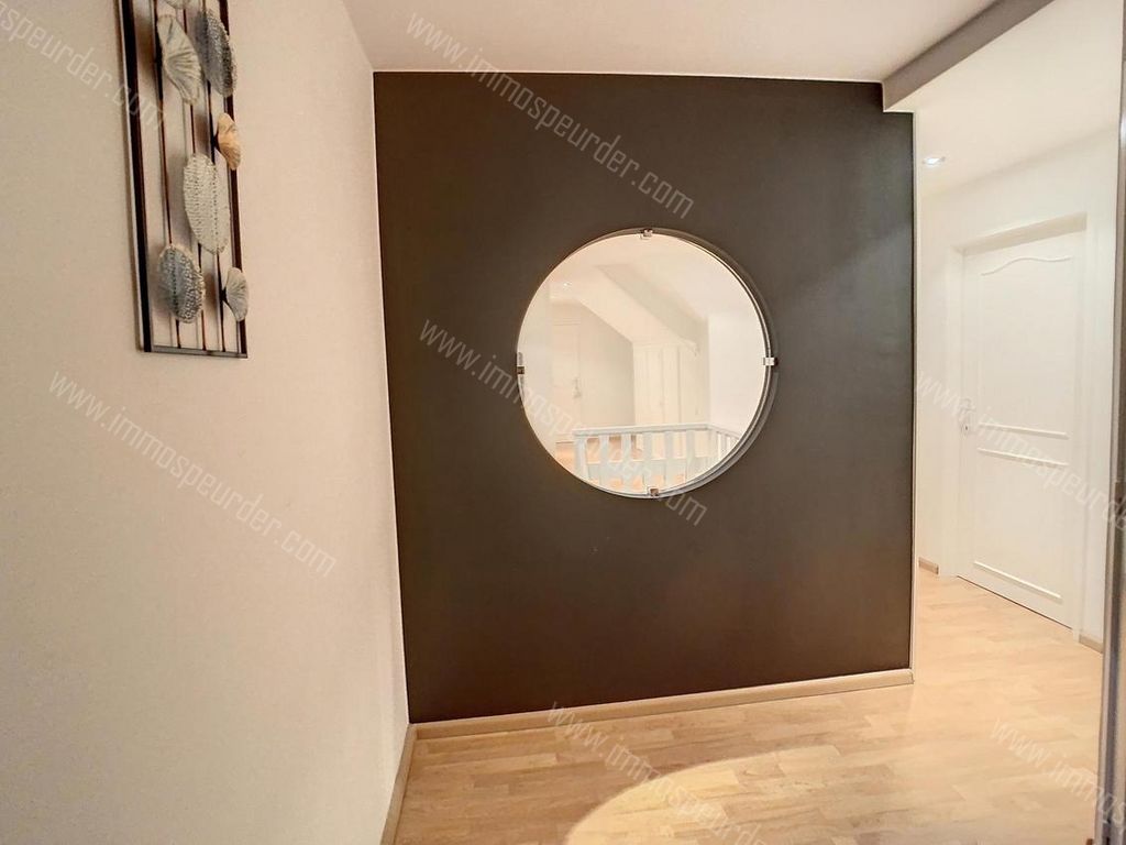 Villa in Hoogstraten - 1022644 - Ulicotenseweg 42, 2328 Hoogstraten