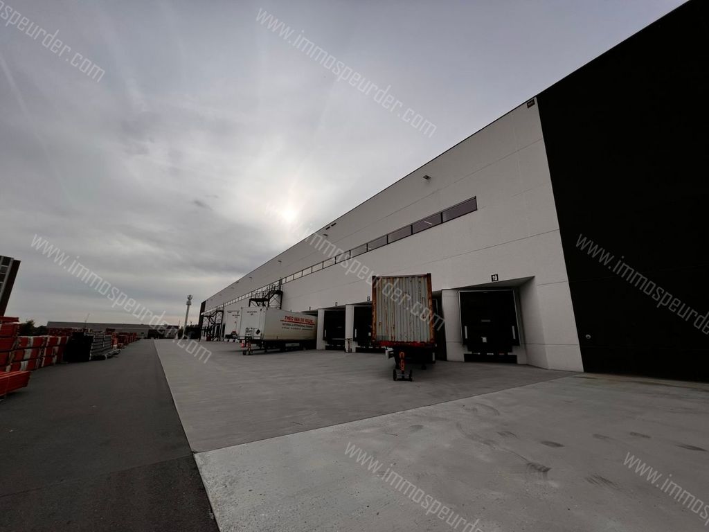 Handelspand in Willebroek - 994376 - SCHOONDONKWEG 32, 2830 Willebroek