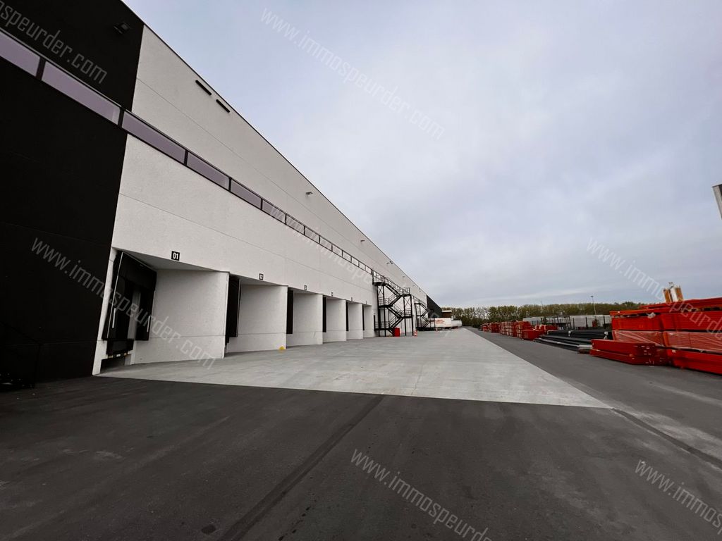 Handelspand in Willebroek - 994376 - SCHOONDONKWEG 32, 2830 Willebroek