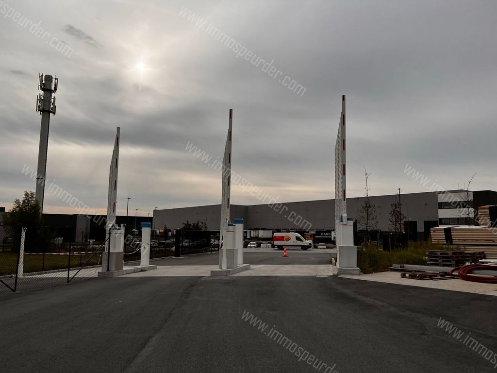 Handelspand in Willebroek - 994376 - SCHOONDONKWEG 32, 2830 Willebroek