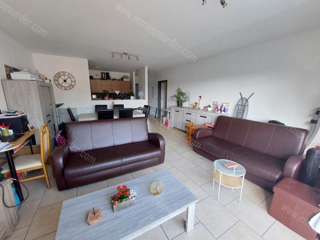 Appartement in Gerpinnes - 1046713 - Rue Trieu du Charnoy 1A-4, 6280 Gerpinnes