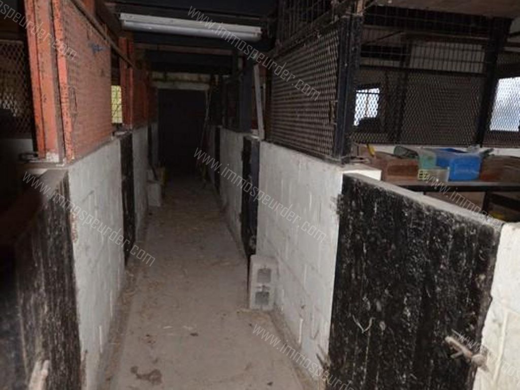 Huis in Chimay - 511495 - Rue Mahy 13, 6460 Chimay