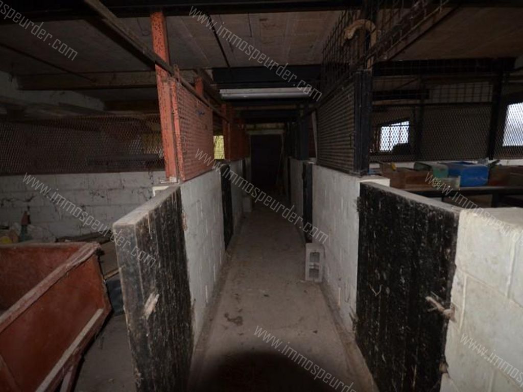 Huis in Chimay - 511495 - Rue Mahy 13, 6460 Chimay