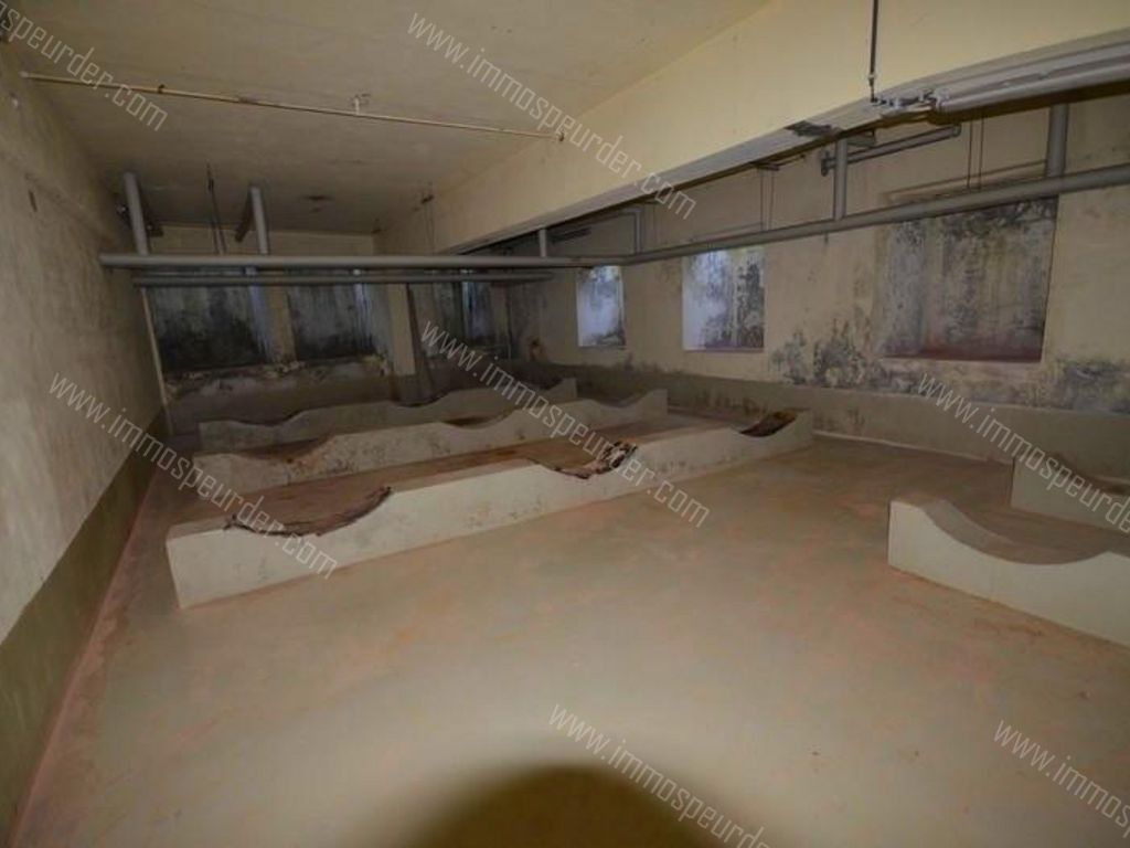 Huis in Chimay - 525119 - Rue Reine Astrid 5, 6460 Chimay