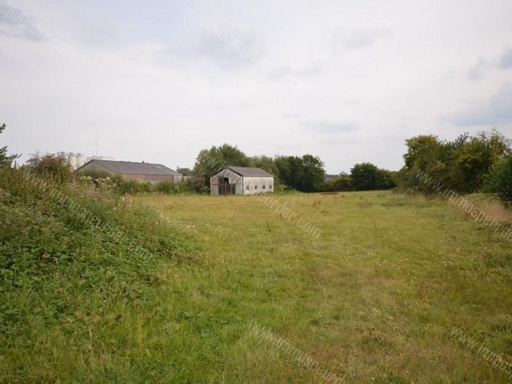 Grond in Chimay - 969955 - Rue Mahy , 6460 Chimay