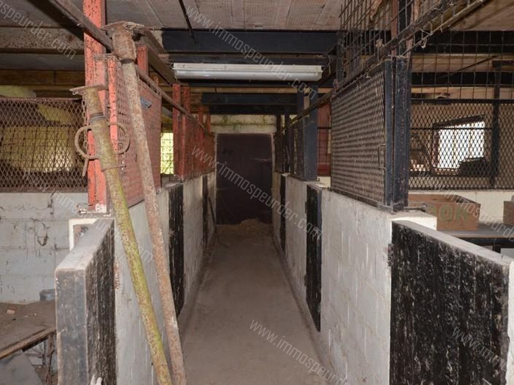 Grond in Chimay - 969955 - Rue Mahy , 6460 Chimay